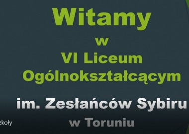 Prezentacja VILO