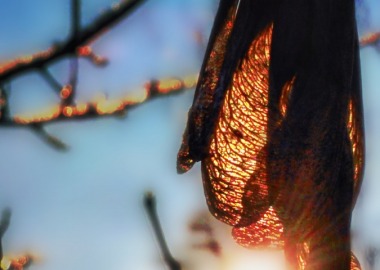 KONKURS FOTOGRAFICZNY